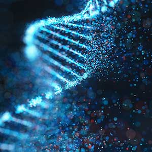 dna strand