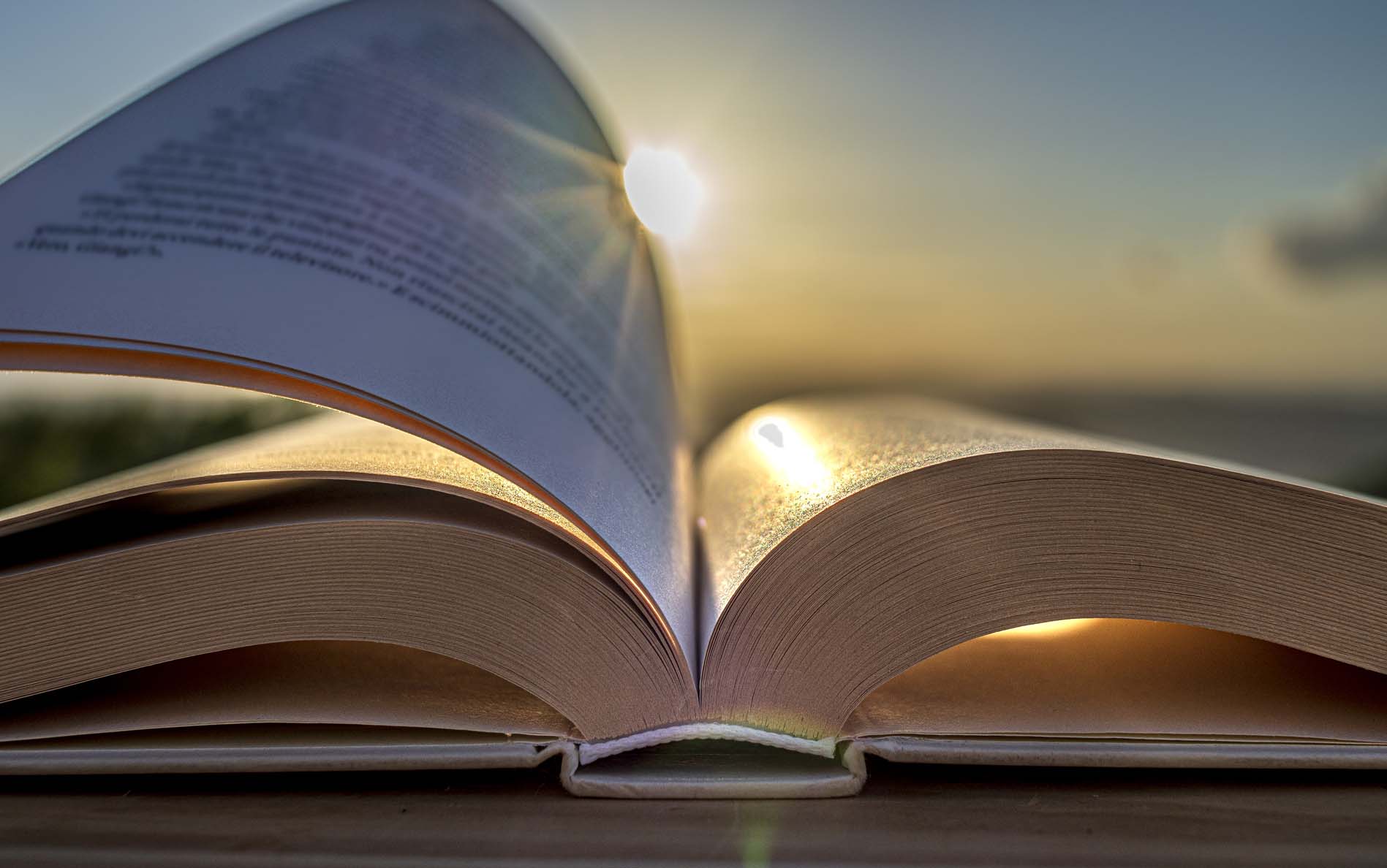book in sunlight