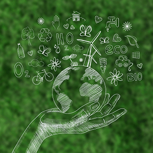 Environmental Thumbnail 300x300