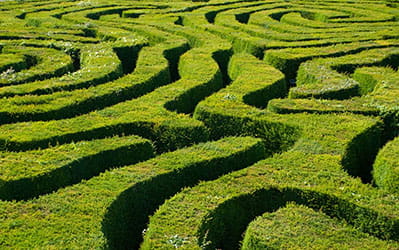 maze for hedge fund guide