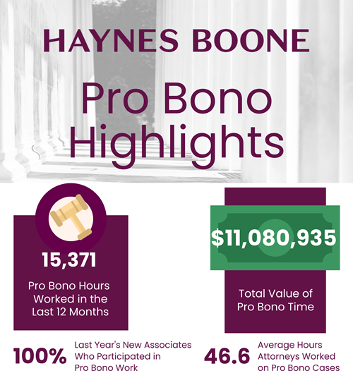 Haynes Boone Pro Bono Highlights