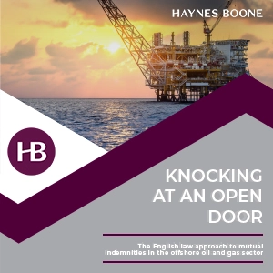 Indemnity Brochure London 2025