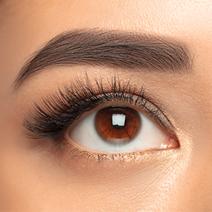 Haynes Boone Advises The Lash Lounge in Sale to The Riverside Company