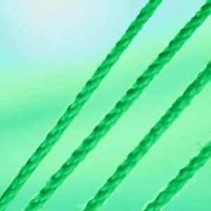 CBD and Hemp Legal Issues