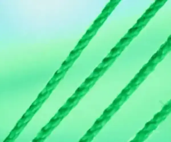 CBD and Hemp Legal Issues