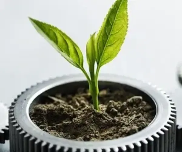 renewable energy green plant