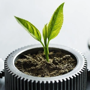 renewable energy green plant