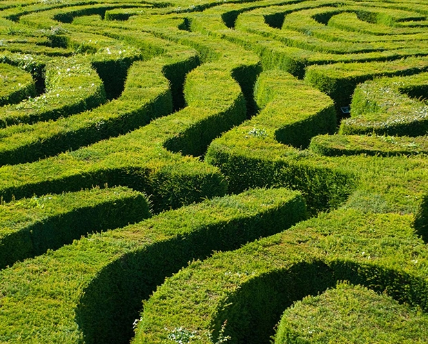 maze for hedge fund launch guide