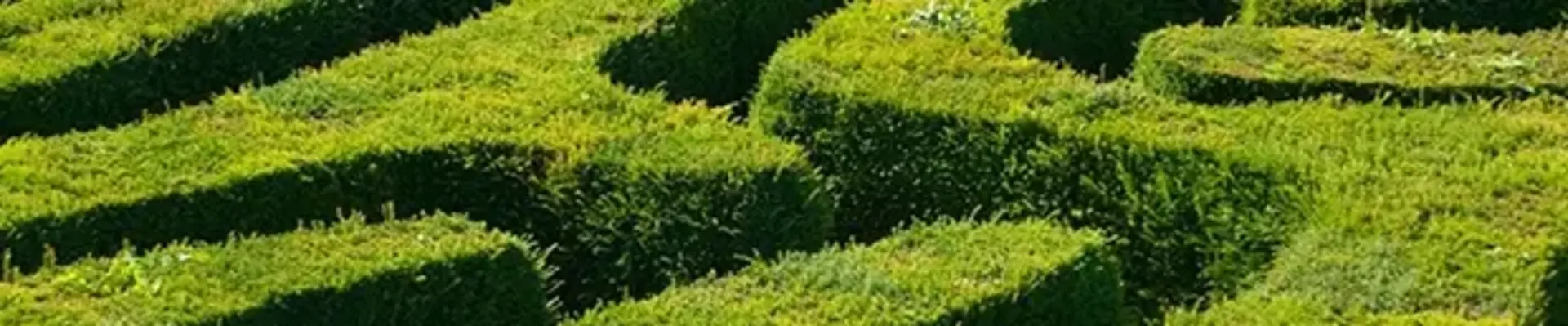 maze for hedge fund launch guide