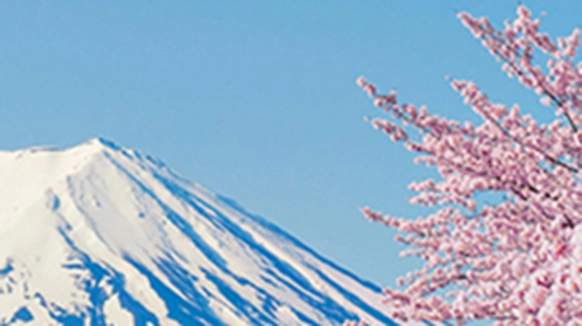 Haynes Boone Alum Club