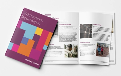 2025 Pro Bono Impact Report