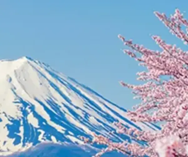 Haynes Boone Releases 8th Edition of HB Connections, Showcasing Global Alumni Impact and Firmwide Growth