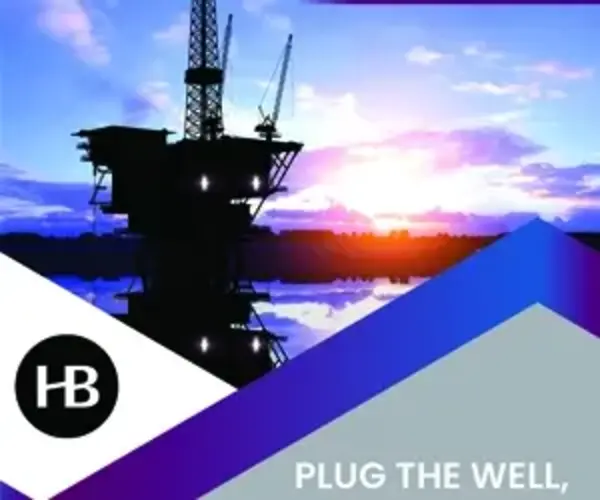plug the well cap the risk limit your liability