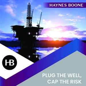 plug the well cap the risk limit your liability