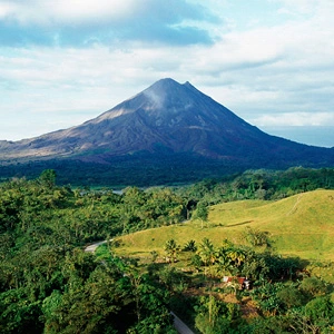 Hospitality Developments