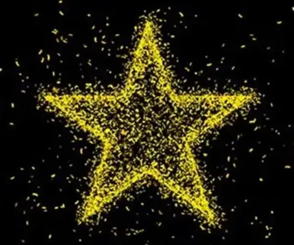 gold star 399x250