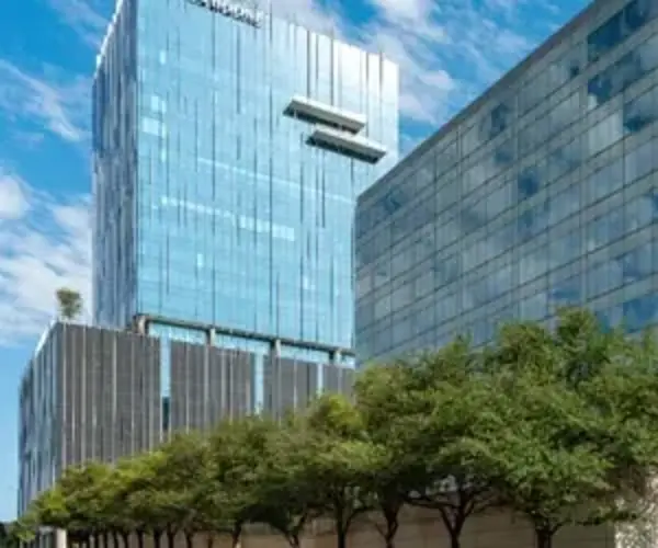 Harwood Dallas Thumbnail