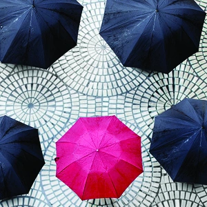 DiCanio in Law360: Haynes Boone Policyholder Attorney Talks Rising Securities Settlements