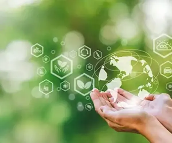 Environmental Perspective