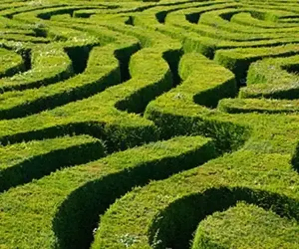 maze for hedge fund guide