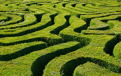 maze for hedge fund guide